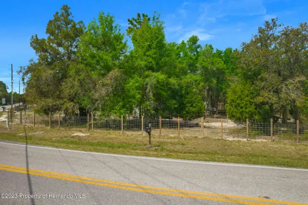 17755 Bosley Drive, Shady Hills, FL, 34610
