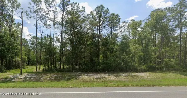 7430 Treiman Boulevard, Webster, FL, 33597