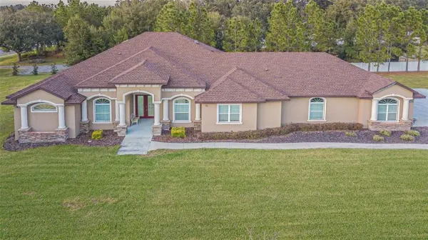 13102 Done Groven Drive, Dover, FL, 33527