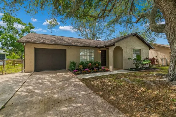 7038 Jenner Avenue, New Port Richey, FL, 34655
