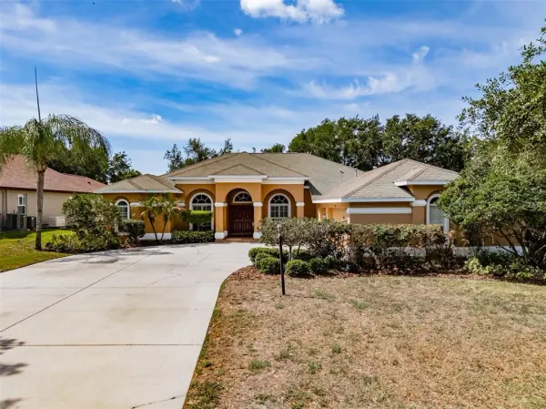 2906 Hillside Ramble Drive, Brandon, FL, 33511