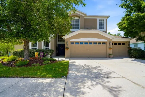 9643 Asbel Estates Street, Land O Lakes, FL, 34638