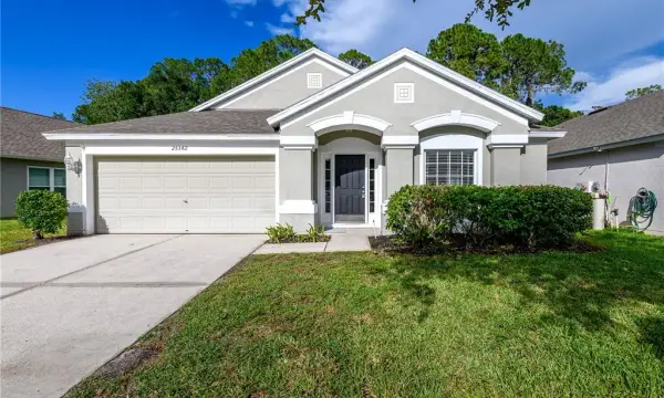 25342 Lexington Oaks Boulevard, Wesley Chapel, FL, 33544