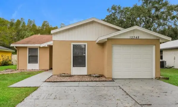 12348 Witheridge Drive, Tampa, FL, 33624