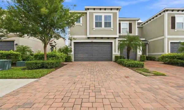 3207 Painted Blossom Court, Lutz, FL, 33558