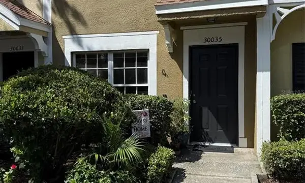 30035 Granda Hills Court, Wesley Chapel, FL, 33543